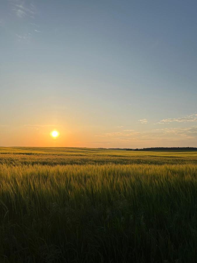Ferienwohnung In Schmargendorf Bei Angermuende อังเงอร์มึนเดอ ภายนอก รูปภาพ
